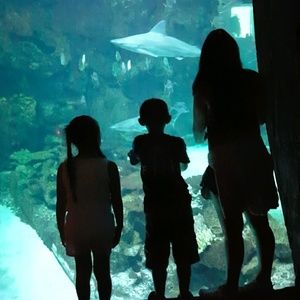 Meet your Posher, Leticia